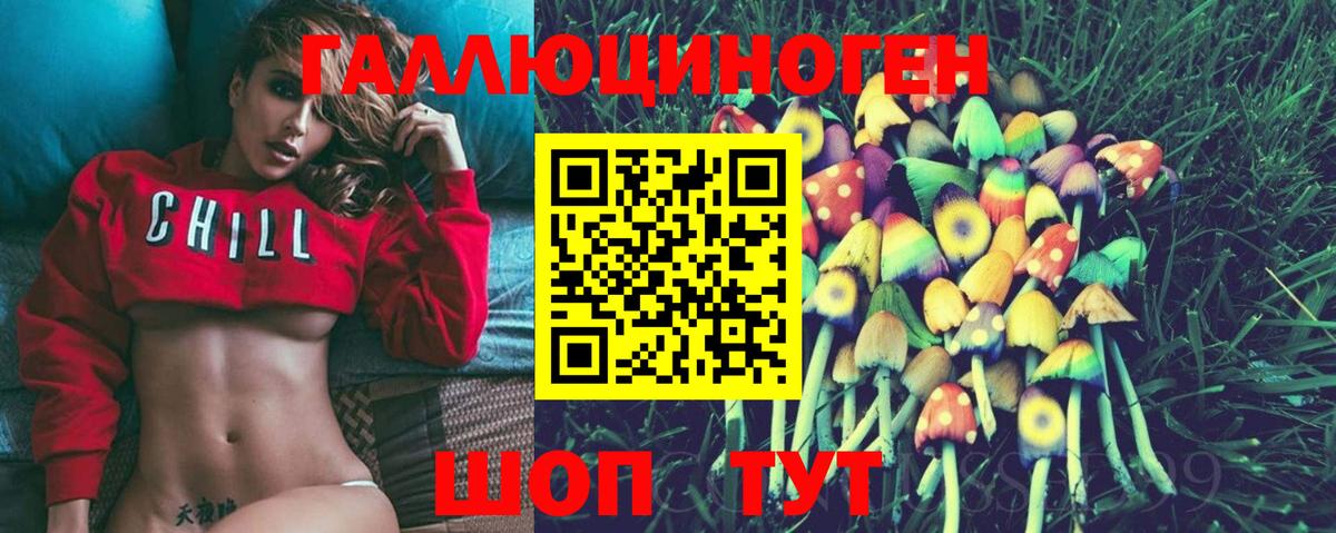 Псилоцибиновые грибы Psilocybe Лыткарино